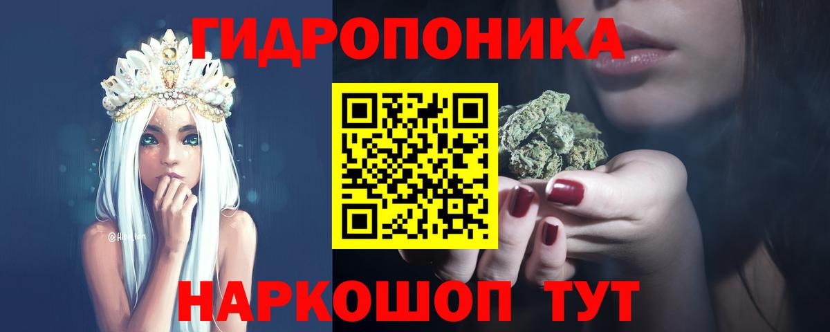 Каннабис OG Kush Ступино